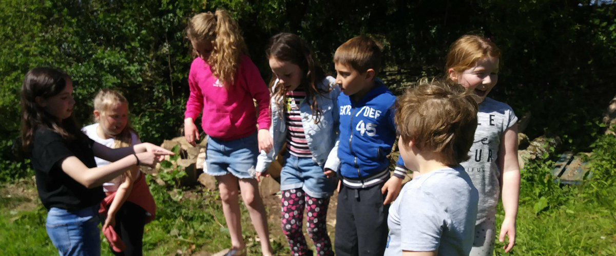 Problem solving activity